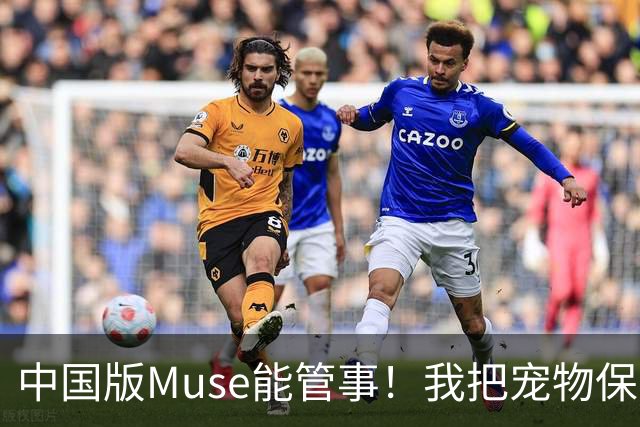 中国版Muse能管事！我把宠物保单、双11算价和周末旅行全交给了灵光2.0