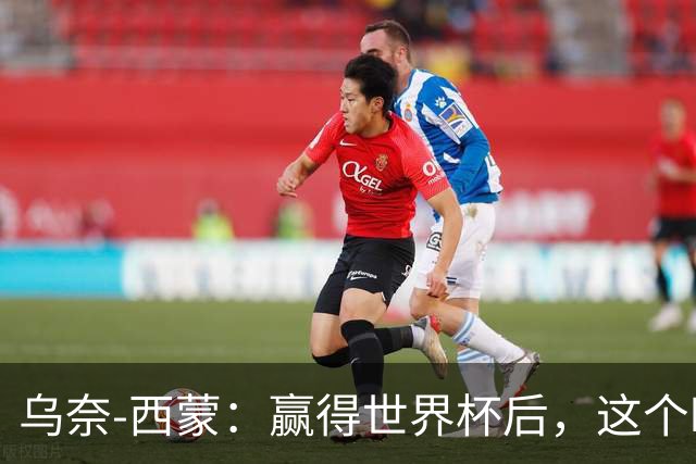 乌奈-西蒙：赢得世界杯后，这个时刻对我而言意味着很多
