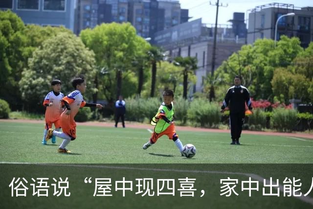 俗语说“屋中现四喜，家中出能人”，这四喜到底指什么？你家有吗？