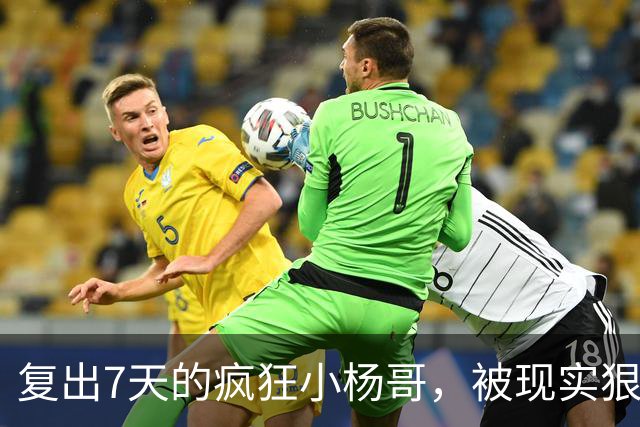 复出7天的疯狂小杨哥，被现实狠狠打了一巴掌