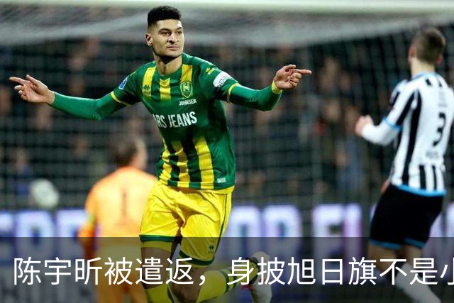 陈宇昕被遣返，身披旭日旗不是小事，网友呼吁查三代