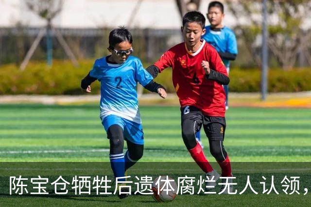 陈宝仓牺牲后遗体腐烂无人认领，17岁女学生跳海冒死偷渡将遗体运回！