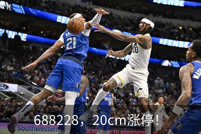 688228，20cm涨停！